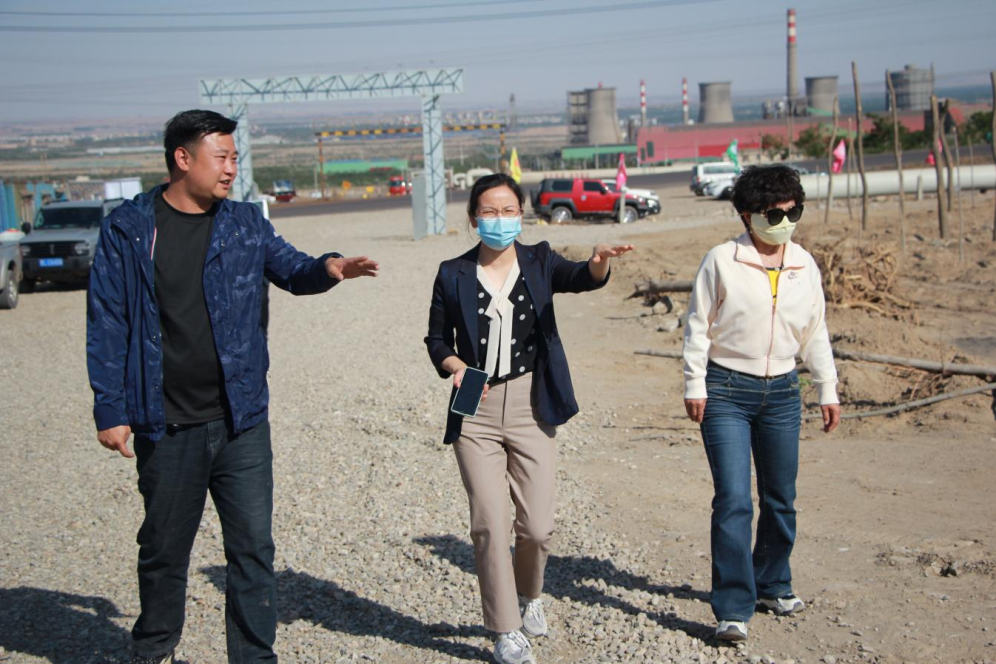 石嘴山市農(nóng)業(yè)農(nóng)村局副局長徐永霞、農(nóng)經(jīng)中心主任王曉斌一行蒞臨基地檢查指導